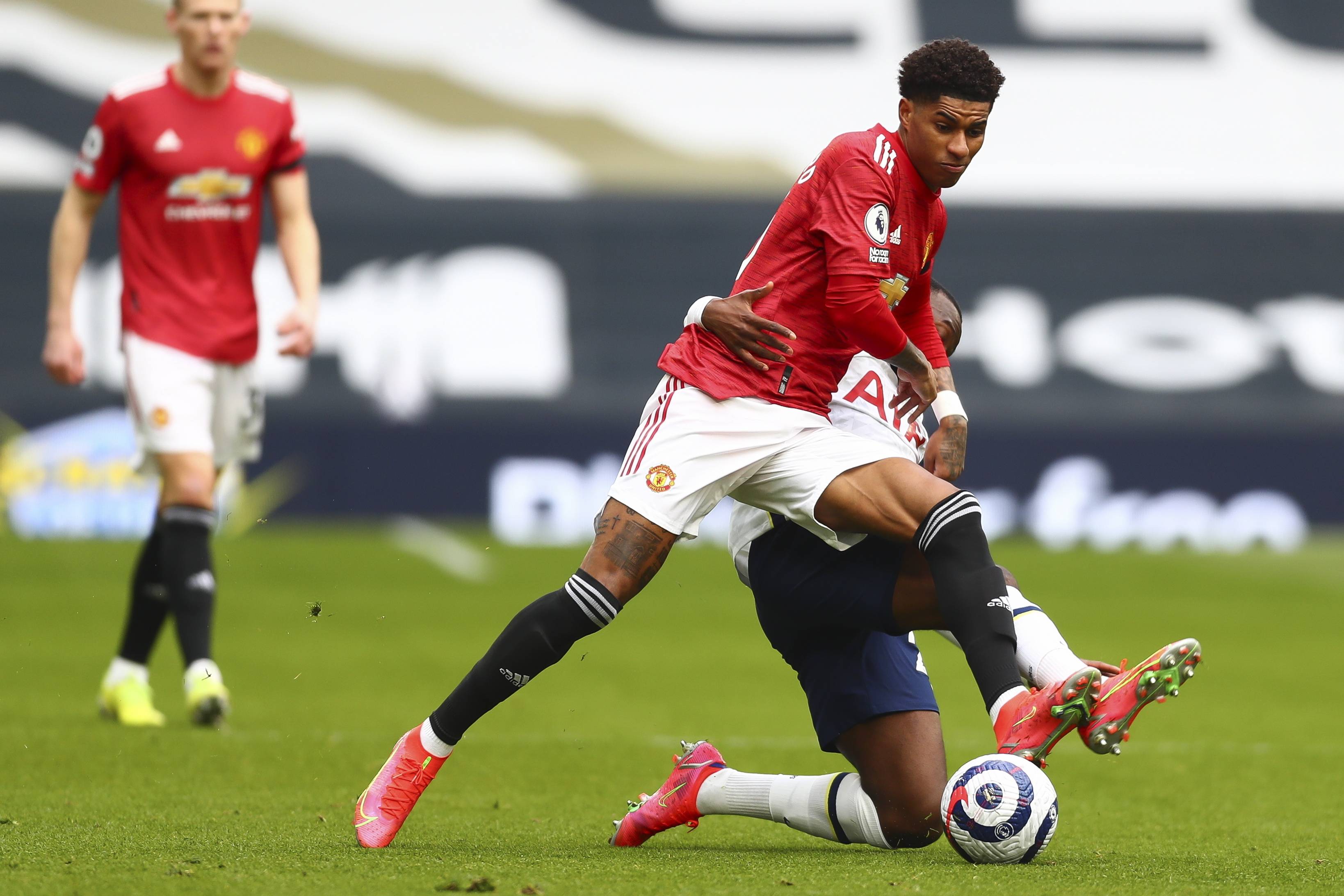 具备多样化 具备多样化